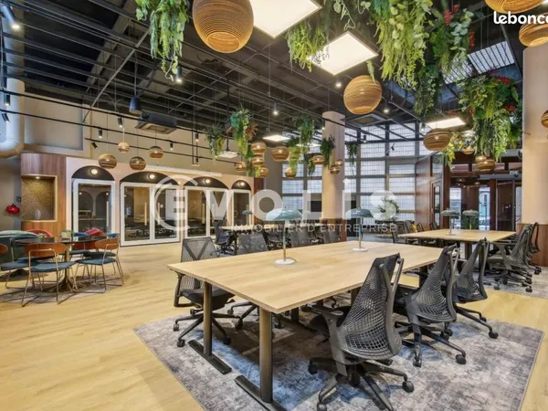 Bureau 230 m²