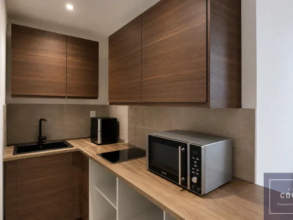 APPARTEMENT T2 33M2 VENDU LOUE