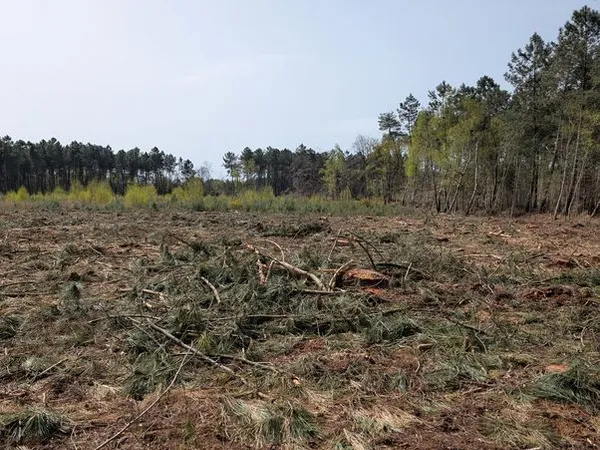 Terrain boisé / Parcelle forestière EBC de 1,83 ha
