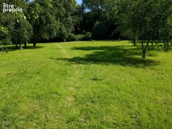 Terrain 369 m²