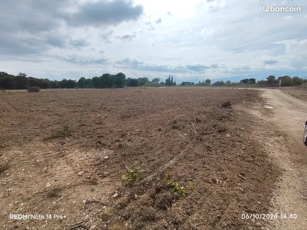 Terrain plat avec beaucoup de possibilités