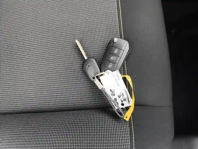 Citroën C3 bluehdi 100 ch bvm6 plus — photo 16
