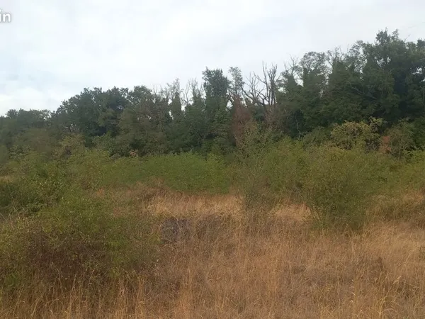 Location terrain
