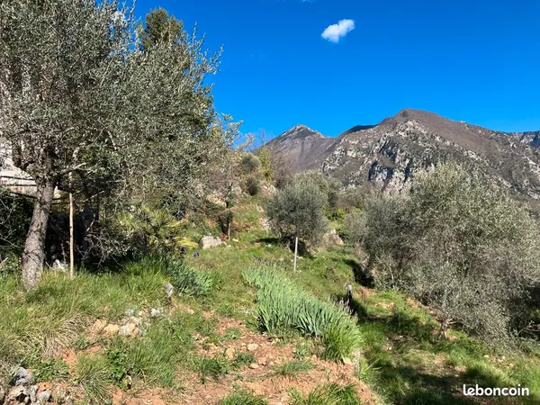 Petit F3 dans maison à la campagne