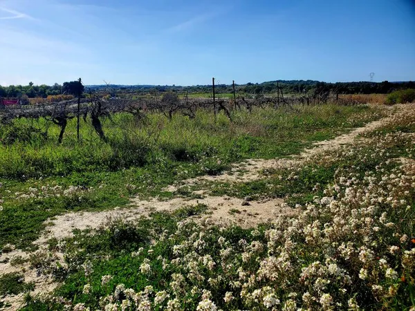 Terrain en lotissement 201 m²