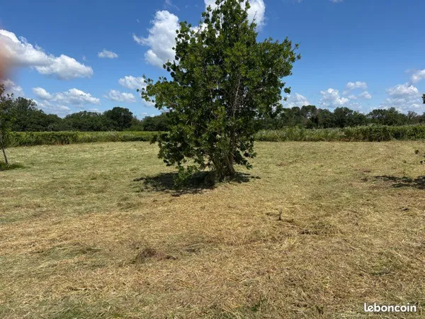 À vendre terrain agricole