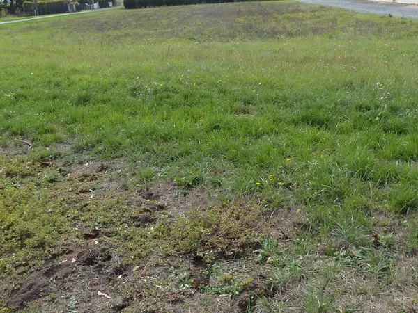 Terrain constructible