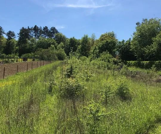 Terrain - 3010m ²