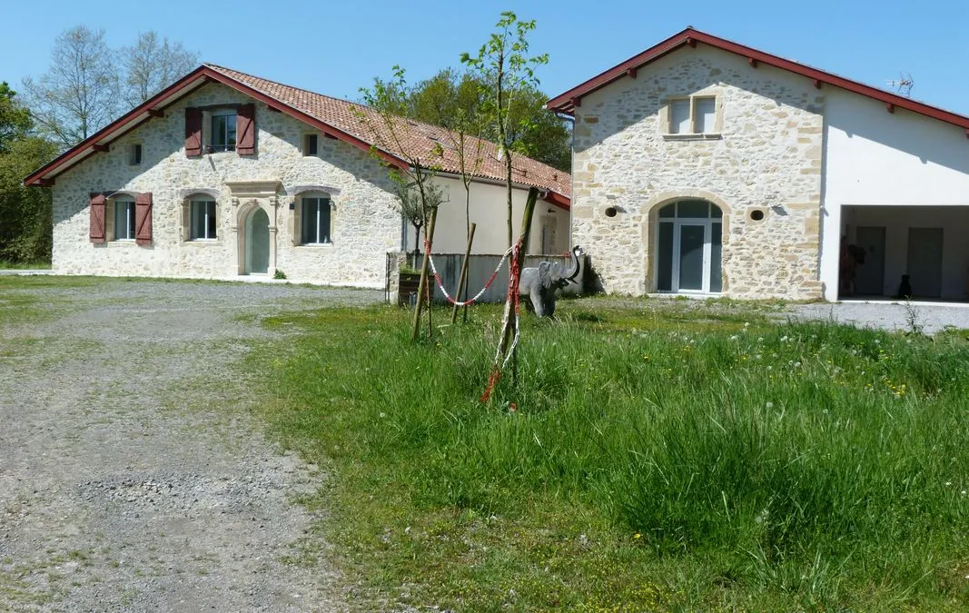 Photo 2