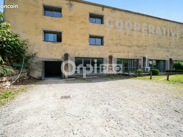 Bureau 260 m²