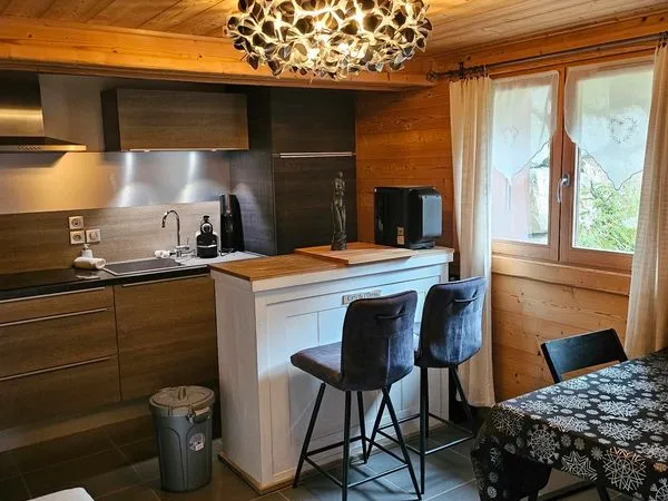 T1 20M2 rez de jardin chalet