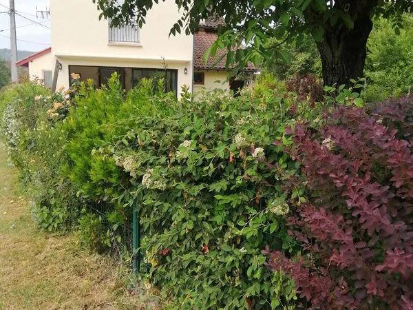 Maison a vendre
