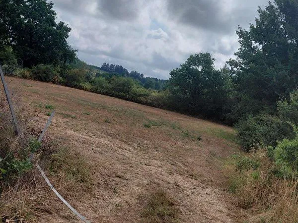 Terrain agricole
