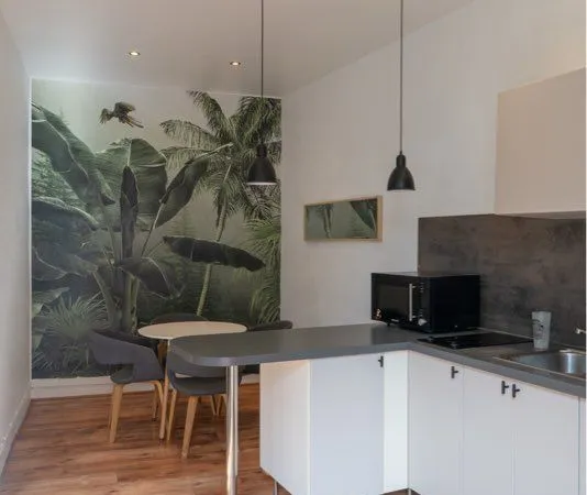 Grand studio meublé 30 m² avec extérieur privatif - Pau, rue Lespy