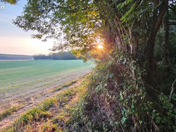 Terrain de loisirs 1000 m2 à 91840 Soisy sur Ecole