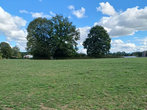 Grand Terrain plat constructible sur 4055m2 vue Pyrénées