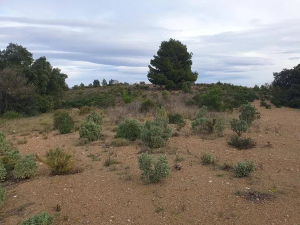 Terrain 10000 m²