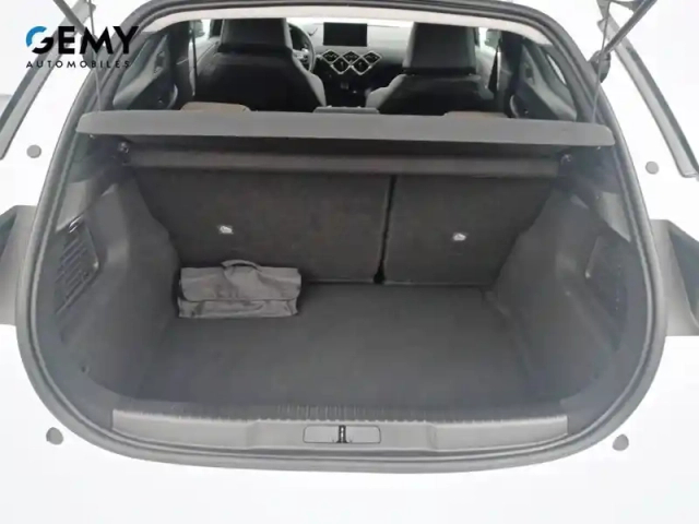 Ds Ds 3 ds3 crossback bluehdi 130 eat8 — photo 6