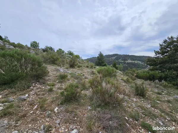 Vente | Terrain | SAINT VALLIER DE THIEY