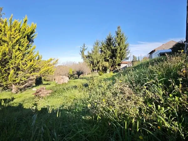 Terrain 1324 m²