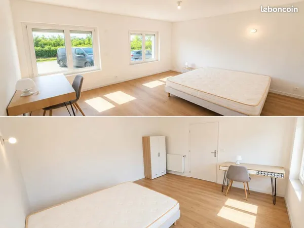 Chambre dans colocation