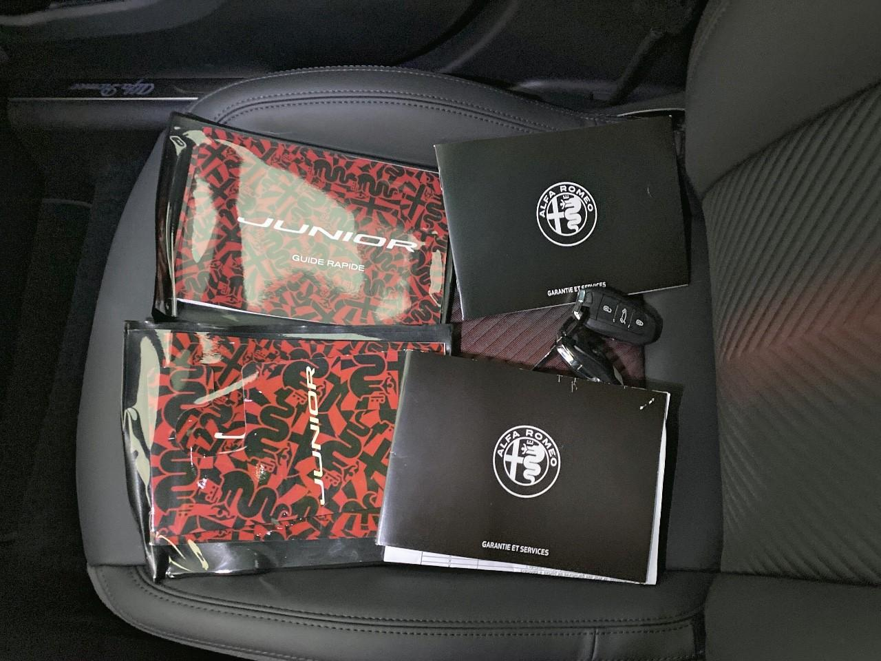 Alfa Romeo Junior elettrica 156 ch speciale — photo 13