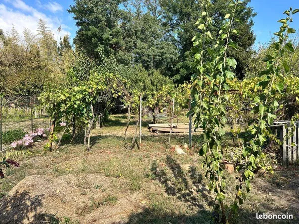 Terrain potager à Argeles village