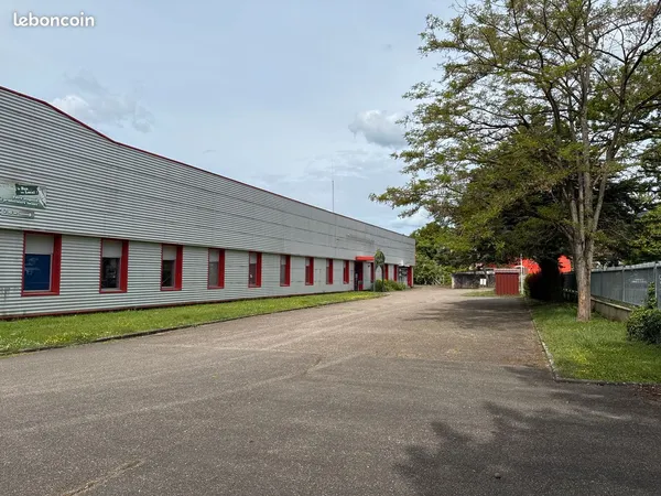 Local d’activité et entrepôt Vente Villé  5000m² 957000€