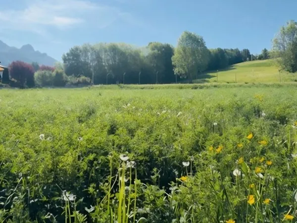 Terrain constructible à Ancelle
