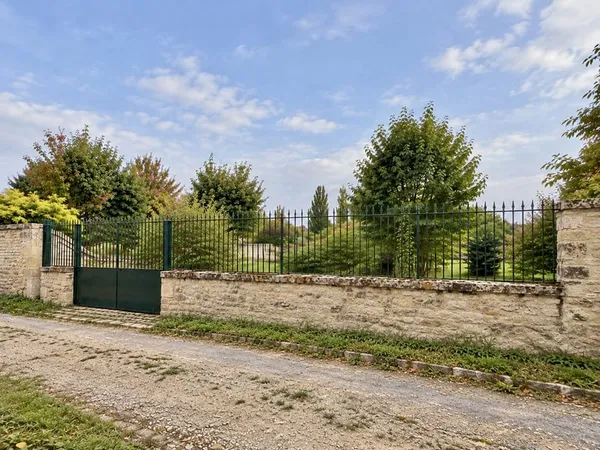 Rare à Vineuil Saint Firmin