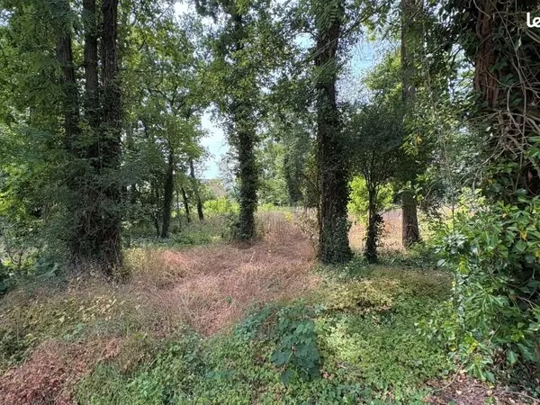 Terrain GOUVIEUX