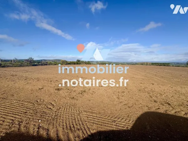 Terrain 2441 m²