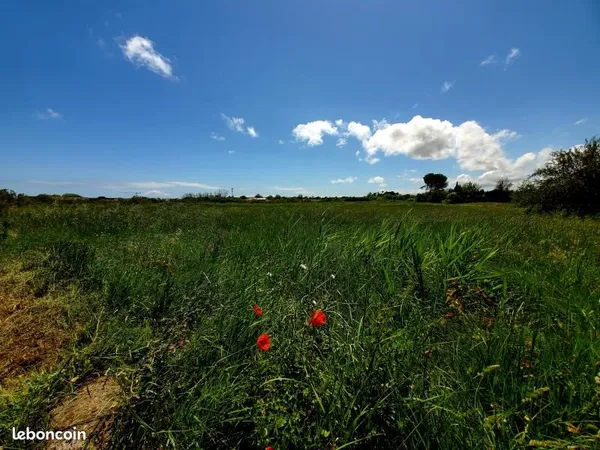 Terrain 180 m² Marseillan
