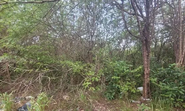 Terrain 4936 m²