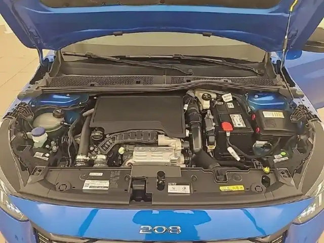 Peugeot 208 puretech 100 s&amp;s eat8 — photo 75
