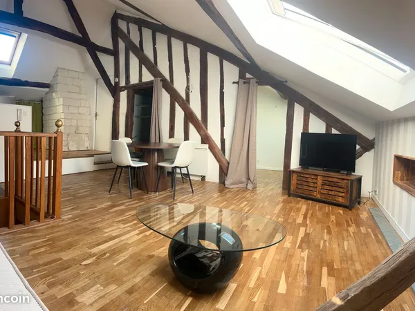 Grand studio 40 m2 sous comble (80 m2 au sol) refait à NEUF + CLIM plein centre ville libre au 1er o