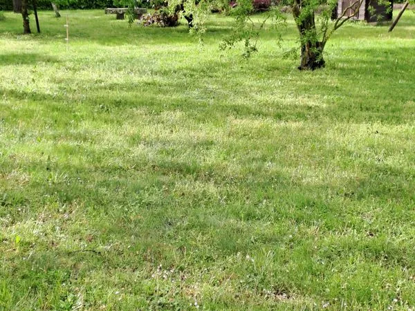 Terrain constructible