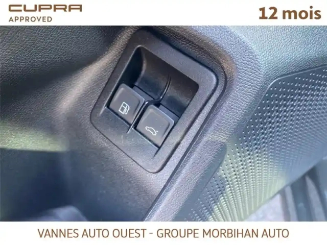 Cupra Formentor 1.4 e-hybrid 245 ch dsg6 — photo 118