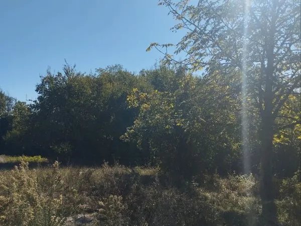 Terrain constructible avec permis - Saint Maur