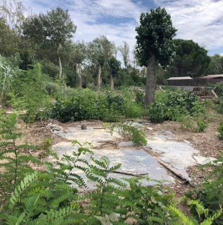 Terrain 802 m²