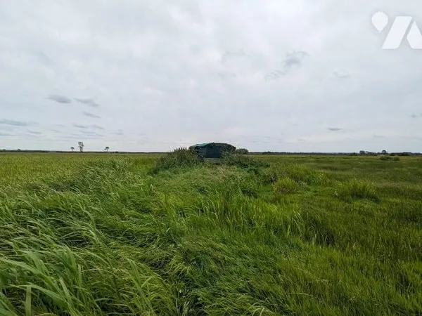Terrain 17003 m²