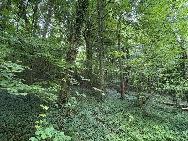 Terrain 10604 m²