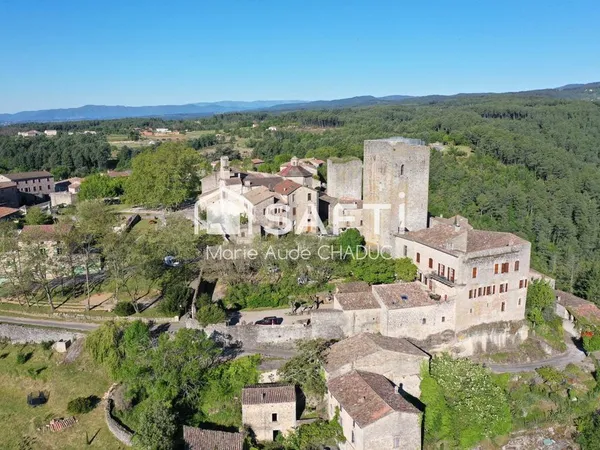 Château Médiéval XIIème-15 pièces - 800m2