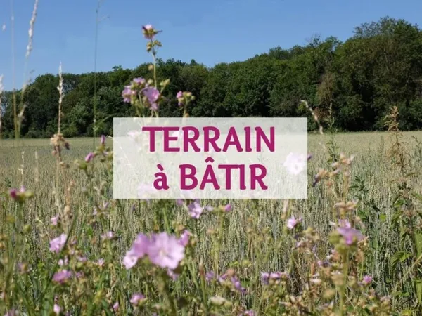 Les Erables - Parcelle 4 - Terrain - Ottmarsheim (68490)