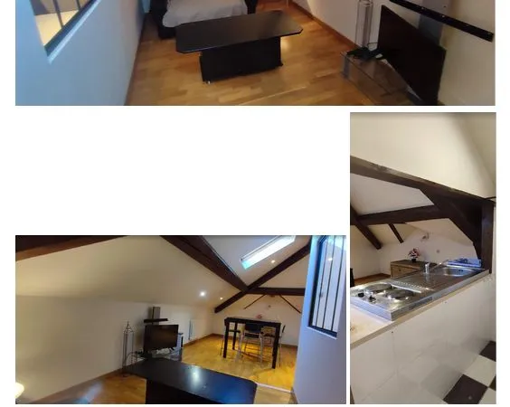 Appartement meublé 50 m2 (25m2 loi CARREZ) - 670