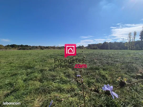 Terrain 6 262 m² Grignols