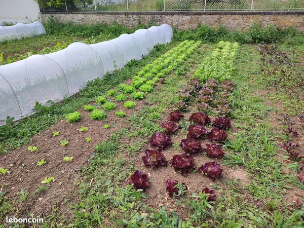Terrain agricole (maraichage et fruitiers )