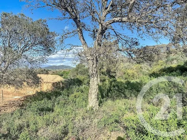 Terrain 875 m²