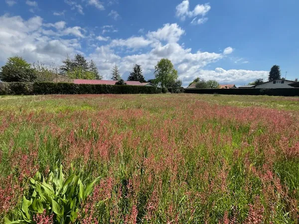À acheter à Lit-Et-Mixe : terrain de 1878m2