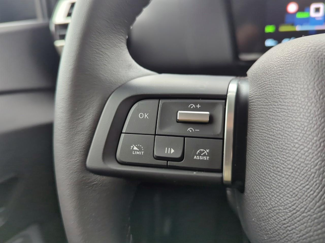 Citroën C4 e-c4 136 ch autonomie standard  automatique you — photo 19